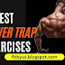 3 Lower Trap Exercises for a Stronger, More Defined Back | Fitbyus