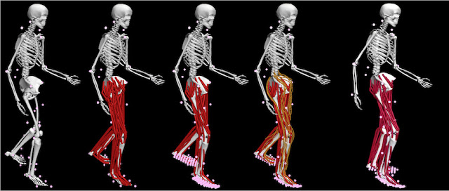 movement-model