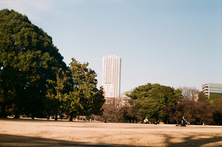 公園散歩