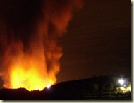foc foc