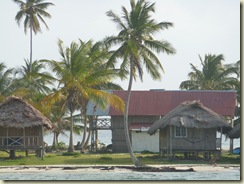 P1010802