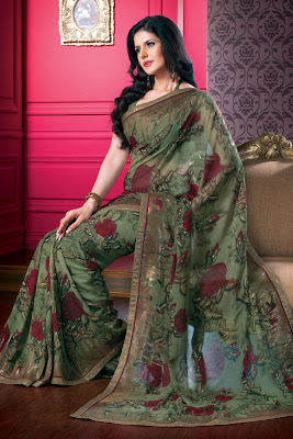 Indian Designer Sarees photos12