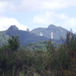 View album