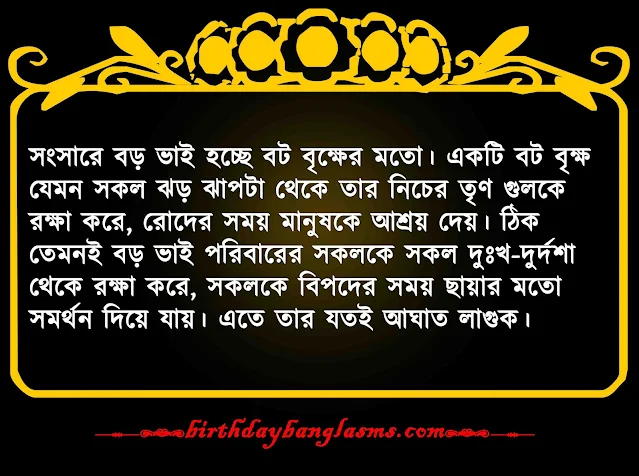 বড় ভাইকে নিয়ে কষ্টের স্ট্যাটাস