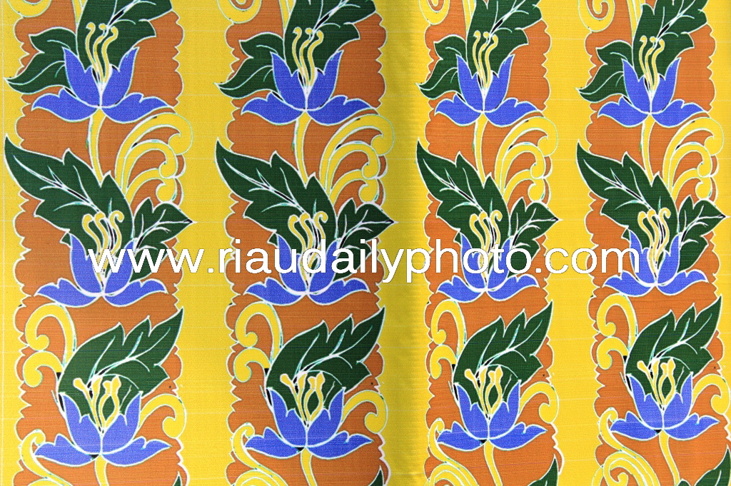 RAGAM MOTIF DAN CORAK BATIK RIAU | RIAU DAILY PHOTO