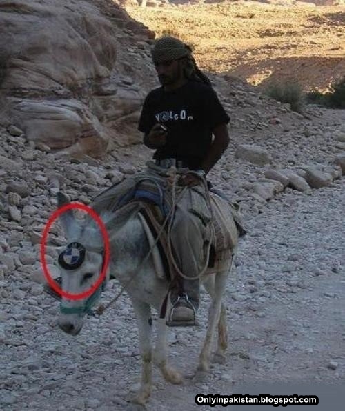 Funny Pakistani  donkey with Mercedes logo