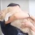 Couple Adopted a 33-Pound Cat and Decided to Begin His Weight Loss Journey