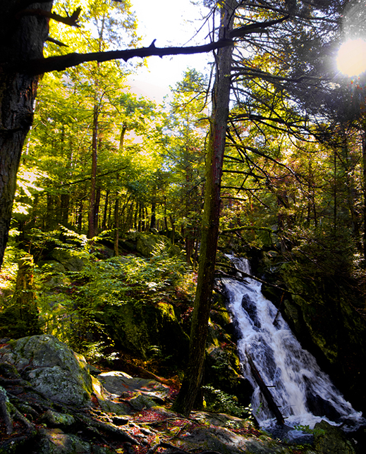 Buttermilk Falls, The Mattatuck Blue Trail, Terryville CT