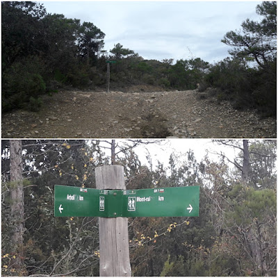 GR-7 ARBOLÍ A MONTRAL, camí en direcció a la carretera T-704 i Mas dels Frares