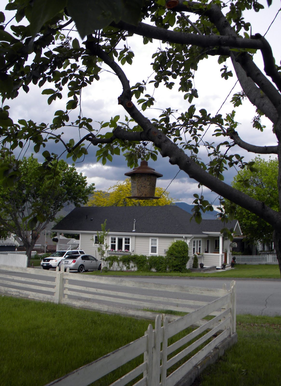 beach wedding gazebo with