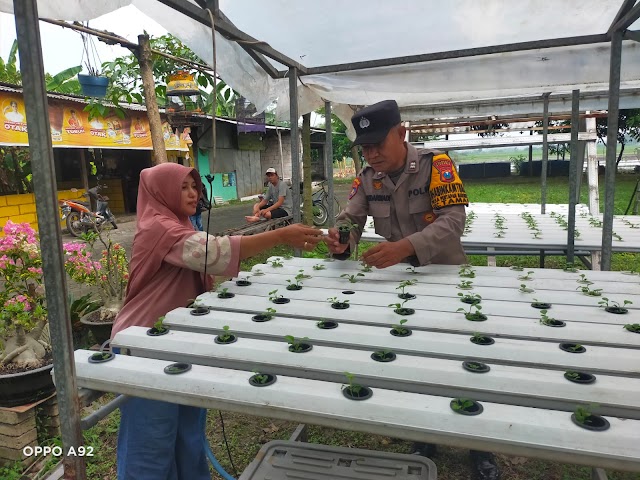Polsek Taman Tinjau Progres Program Tanaman Sayur Hidroponik di Desa Pertapan Maduretno