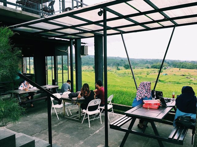 Joko Kopi Ungaran, Sensasi Ngopi di Pinggir Sawah