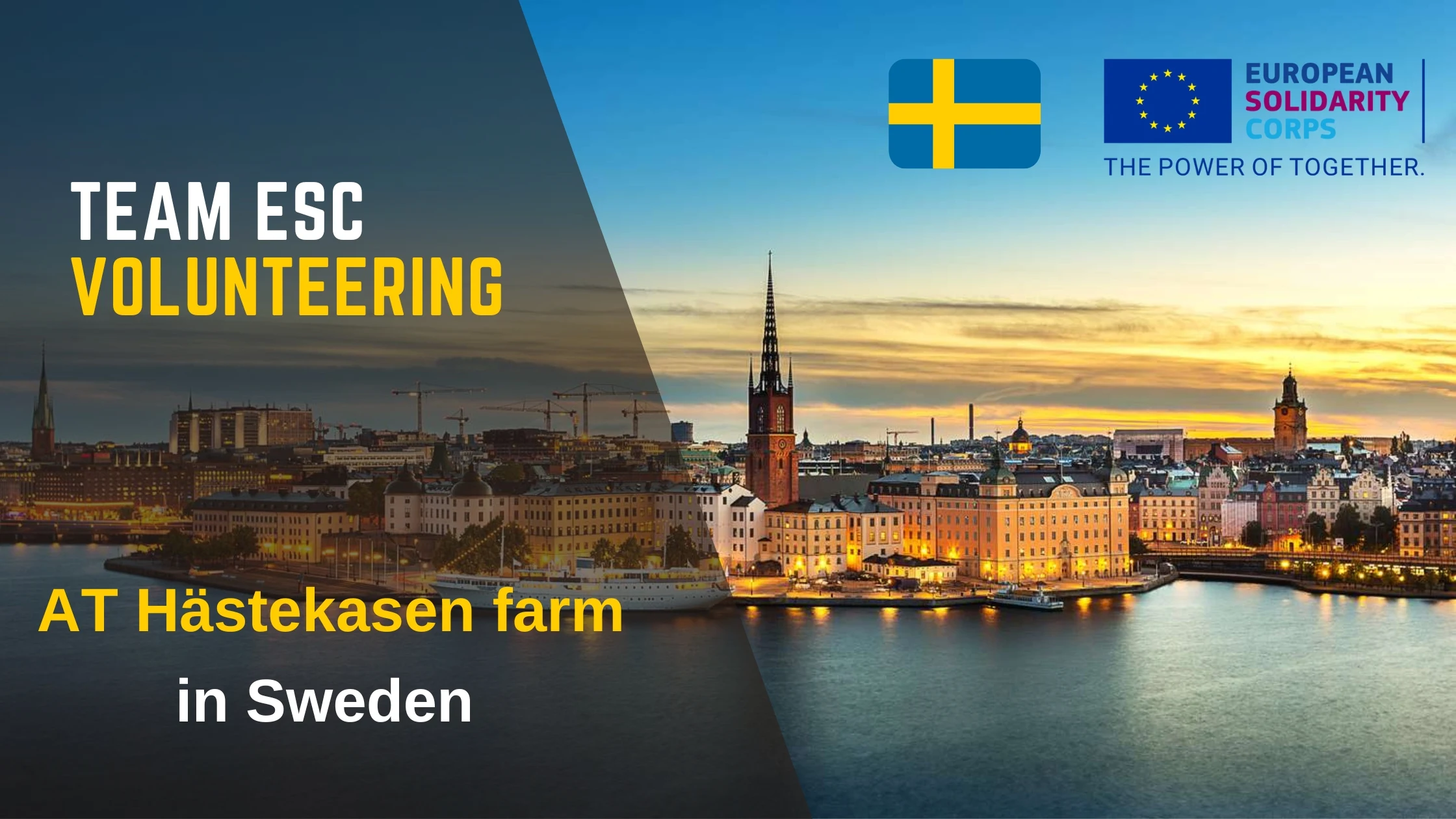 ESC Volunteering project at Hästekasen for one month in Sweden (Fully Funded)