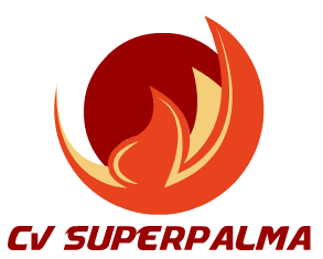 CV SUPERPALMA BRIKET & ENERJI