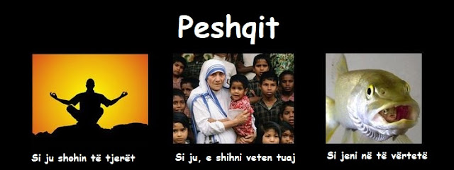 Peshqit