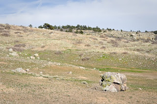A boulder in a meadow at Rabbit Mountain, Lyons