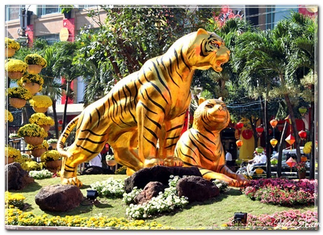 Ảnh đường hoa Nguyễn Huệ qua các năm