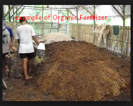 organic fertilizer