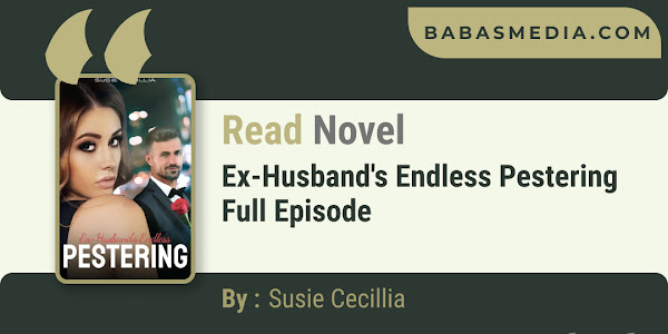 Ex-Husband's Endless Pestering Novel By Susie Cecillia / Read and Synopsis