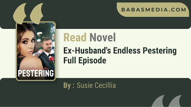 Cover Ex-Husband's Endless Pestering Novel By Susie Cecillia