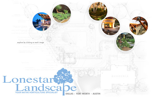 landscape design website design in austin tx by saba graphix web designer