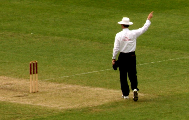 How to Play Cricket Well in Hindi