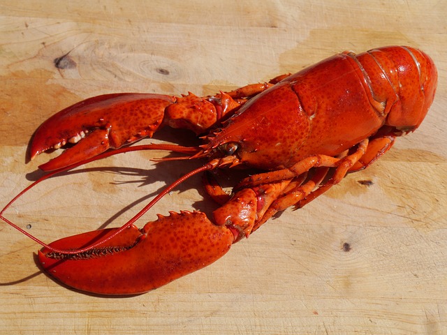 lobster abadi