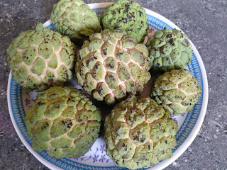 Custard apple