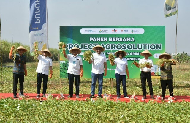 Pendapatan Petani Benih Kangkung Gresik Meningkat Berkat Project Agrosolution Petrokimia Gresik