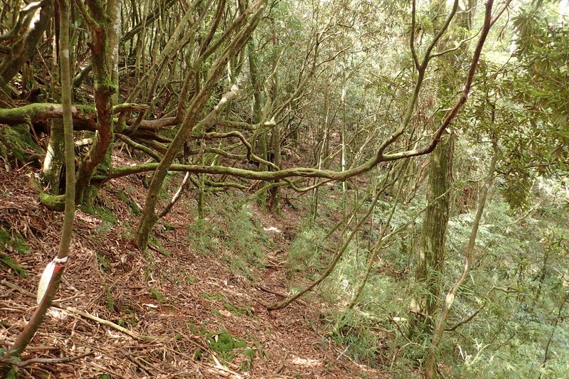 2014_1004 卓社林道登水社大山_035