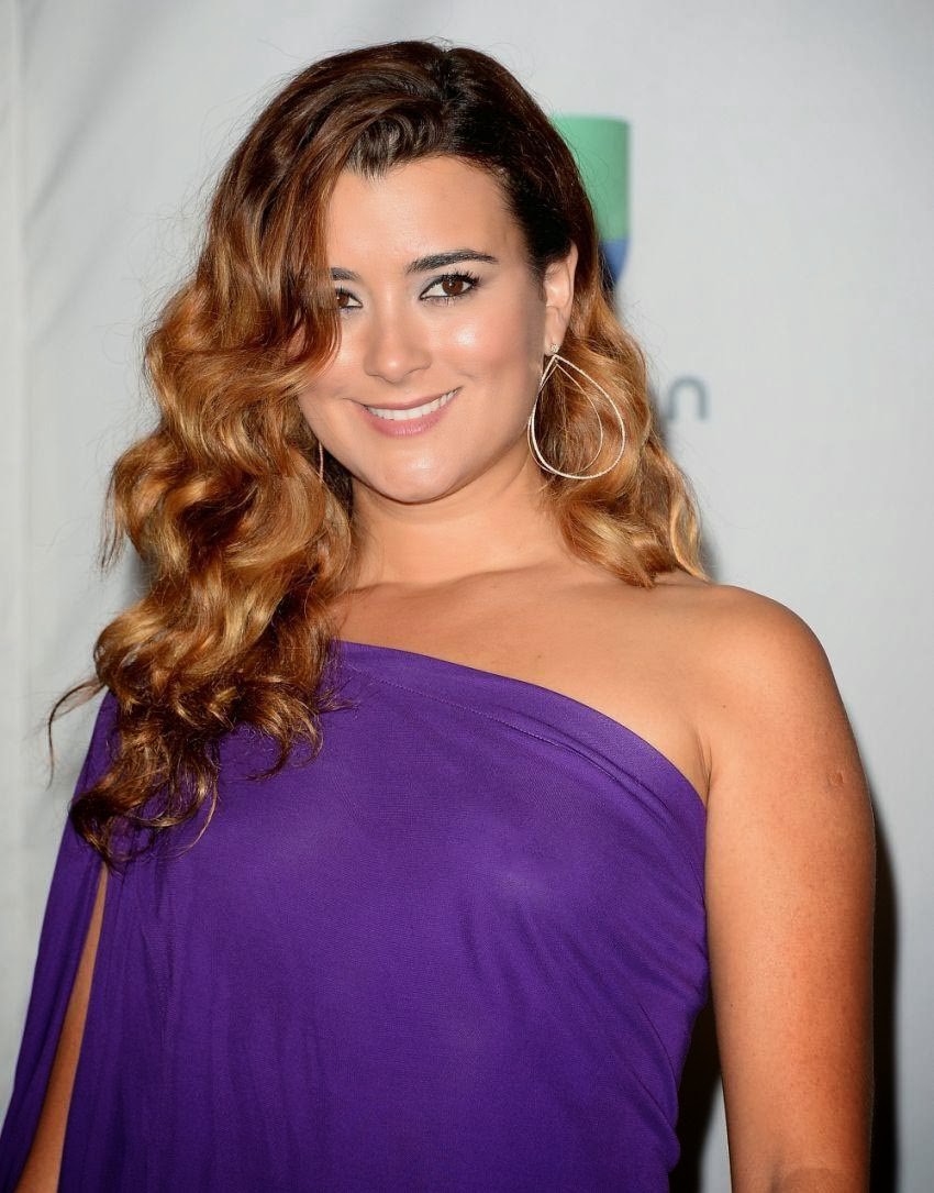 Cote de Pablo Looks Awesome at the 14th Annual Latin GRAMMY AwardsCote de Pablo Looks Awesome at the 14th Annual Latin GRAMMY Awards