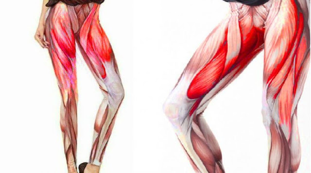 11 Exercises to Sculpt Strong, Sexy Legs