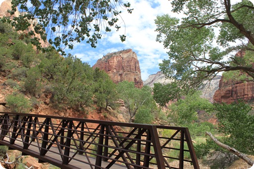 Zion  National Park 065