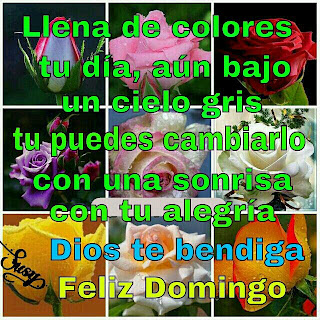 dios te bendiga feliz domingo frases de amistad y motivacion sonrie se feliz buenos dias rosas