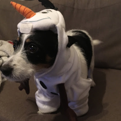 Dog snowman costume