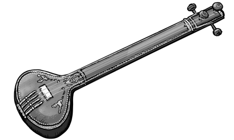 monochrome picture : tanpura (tampura). Indian instrument.