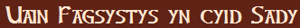 Uain Fagsystys yn cyid Sady