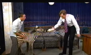 Late Night with Conan O'Brien baby zebra bottle feeding