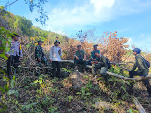 Cegah Perambahan Hutan, Personel Gabungan Terjun Laksanakan Patroli di Kecamatan Utan