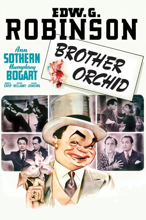 [HD] El hermano orquídea 1940 DVDrip Latino Descargar
