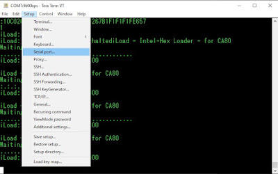 Tera Term with MIK1 on CA80.