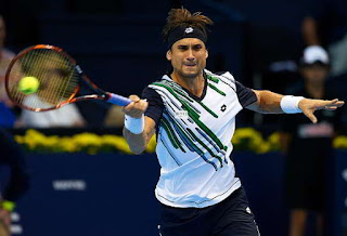 David Ferrer tennis atp