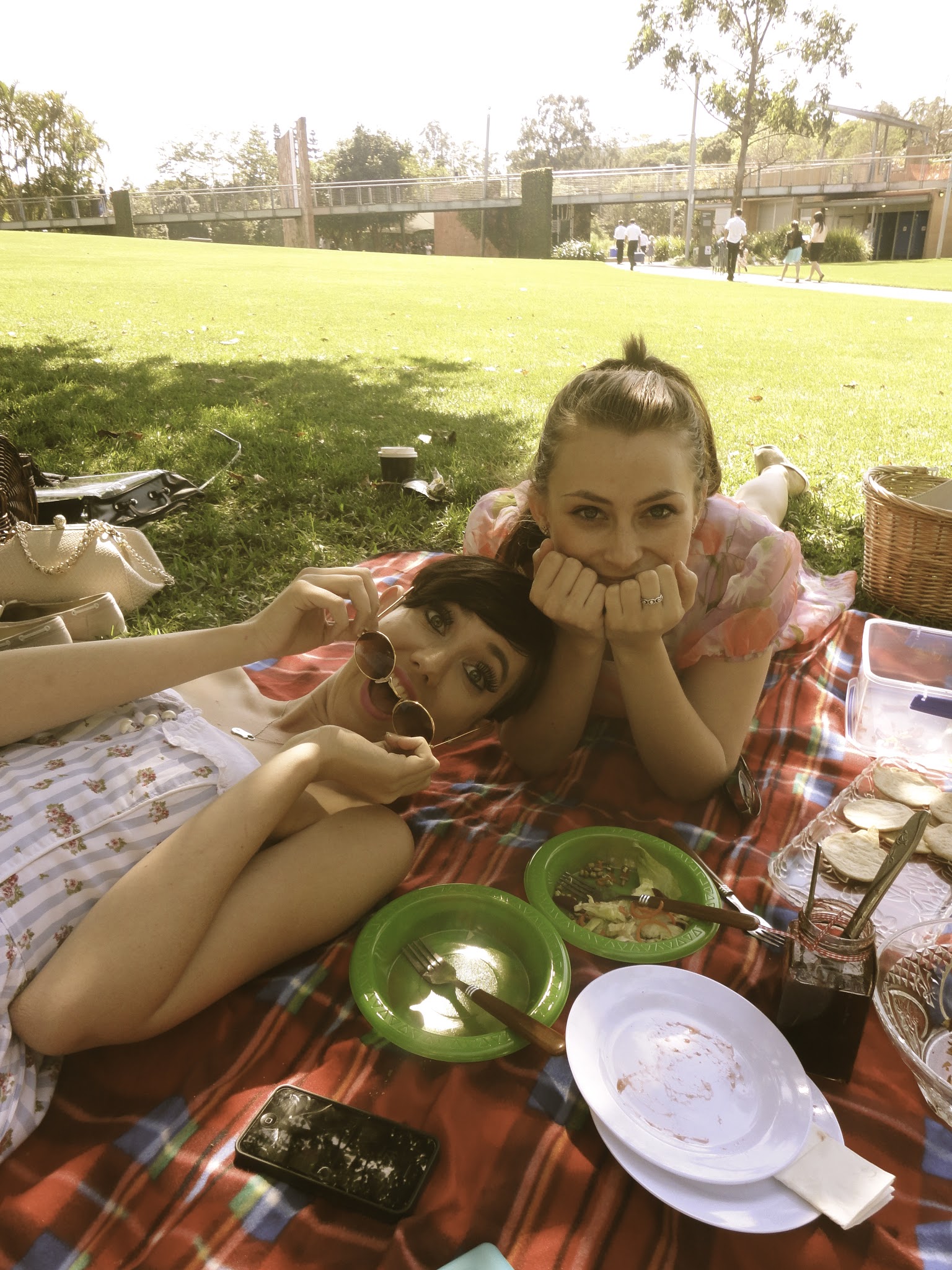 Ladies Picnic