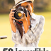 50 Incredible Photography Tips & Tricks