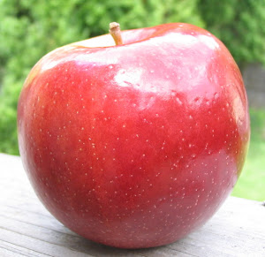 Braeburn apple