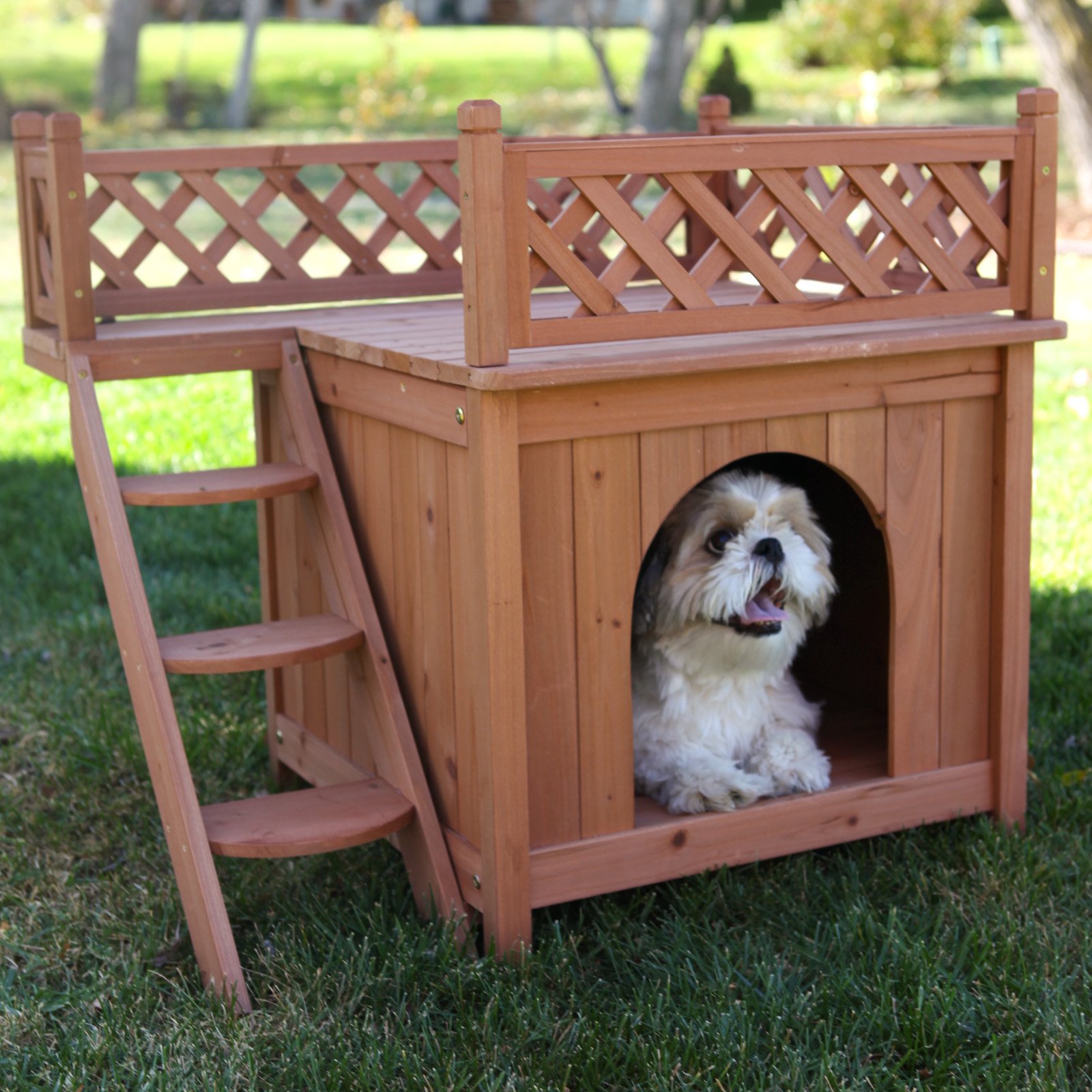 Quaintly Garcia: Room With a View Dog House