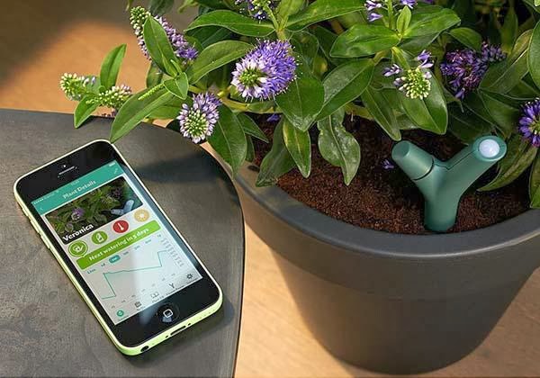 Parrot Flower Power App-Controlled Plant Monitor