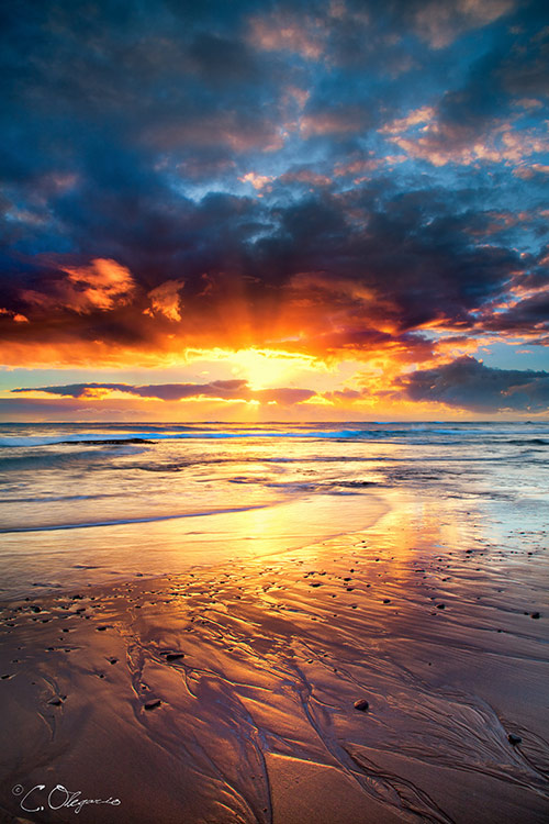 Stunning Examples of Nature 07