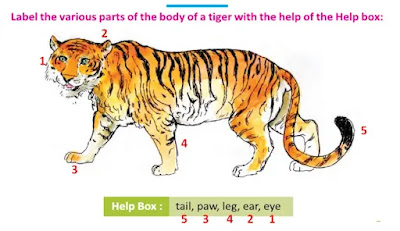 Class 4 English Revision Lesson Question Answer West Bengal Board