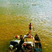 View album